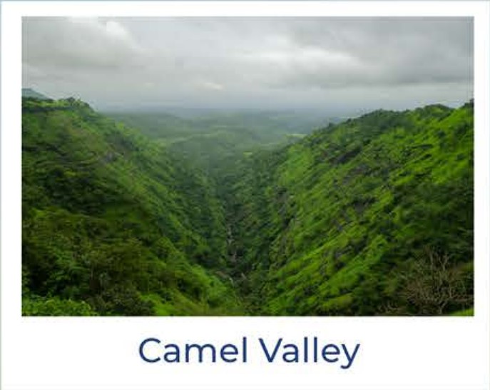 camel valley