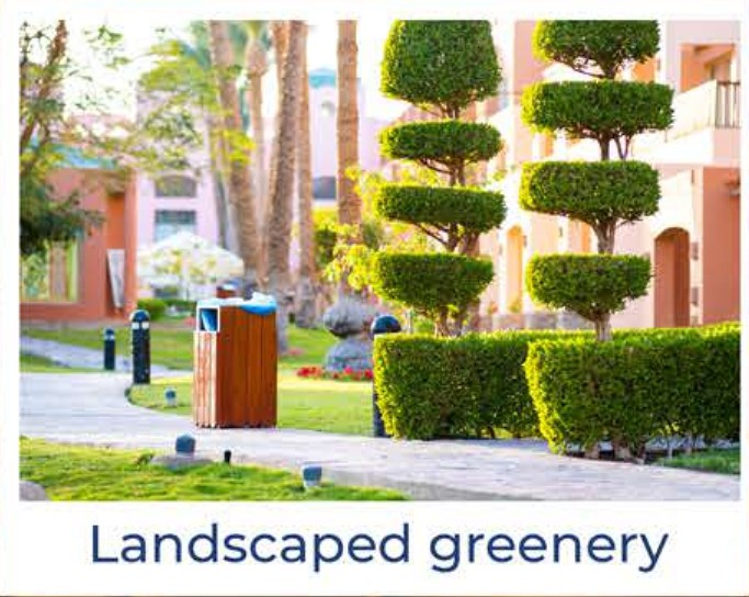landscaped greenery